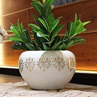 White and Dull Gold Metal Planter for Indoor Natural Plants White and Dull Gold Metal Planter for Indoor Natural Plants