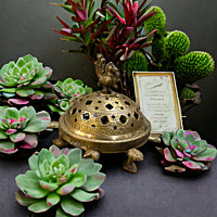 Dhoop Dani Dhoop Dani
