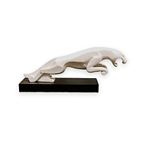 White Panther White Panther
