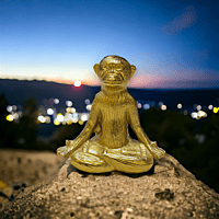 Yoga Monkeys