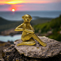 Yoga Monkeys
